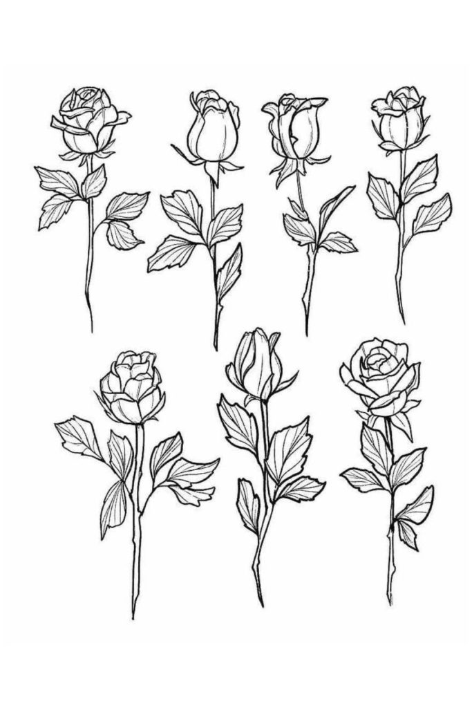 Beginner Flower Drawing