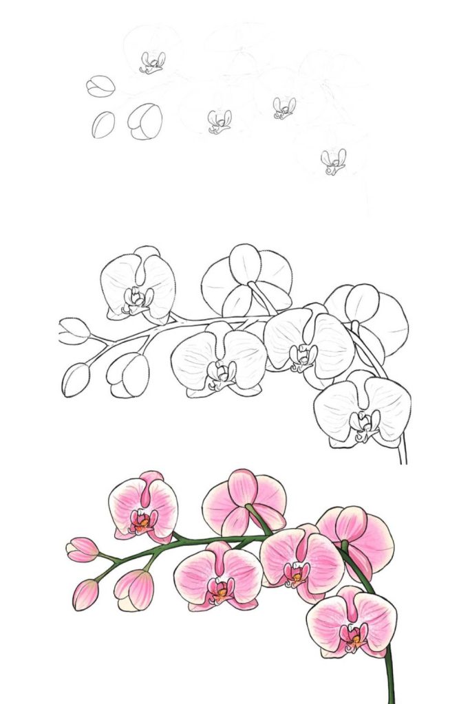 Cute Things To Draw Tutorials