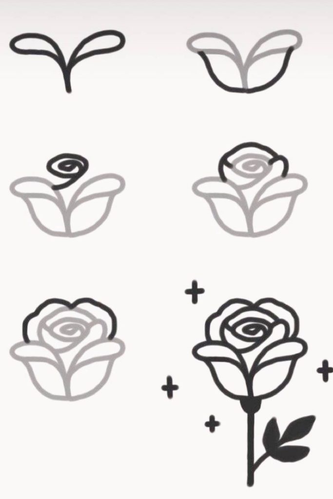 Draw Tutorials roses