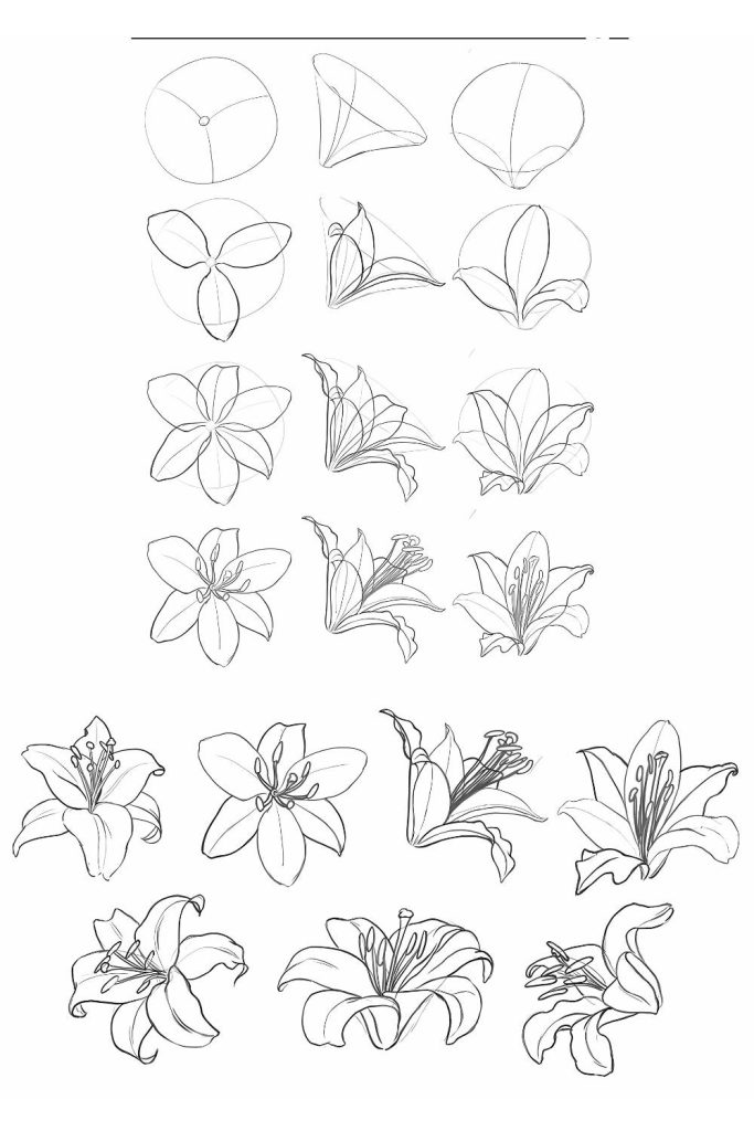 Drawing Flowers Ideas Easy