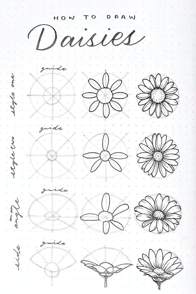 Easy Drawings For Beginners Flowers