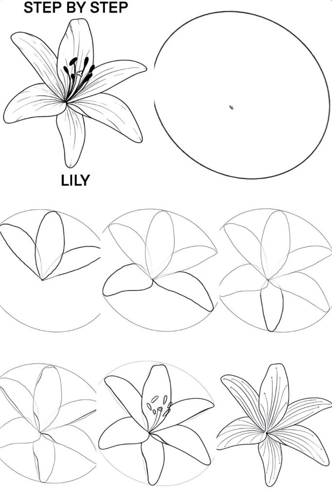 Easy Floral Drawing