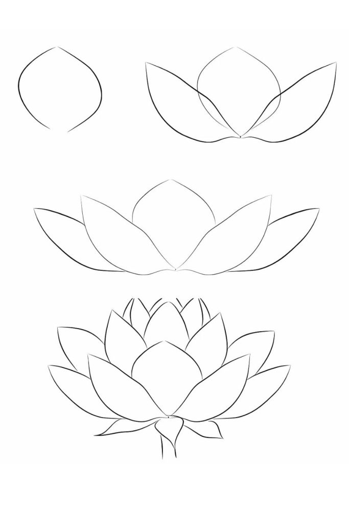Floral Drawing