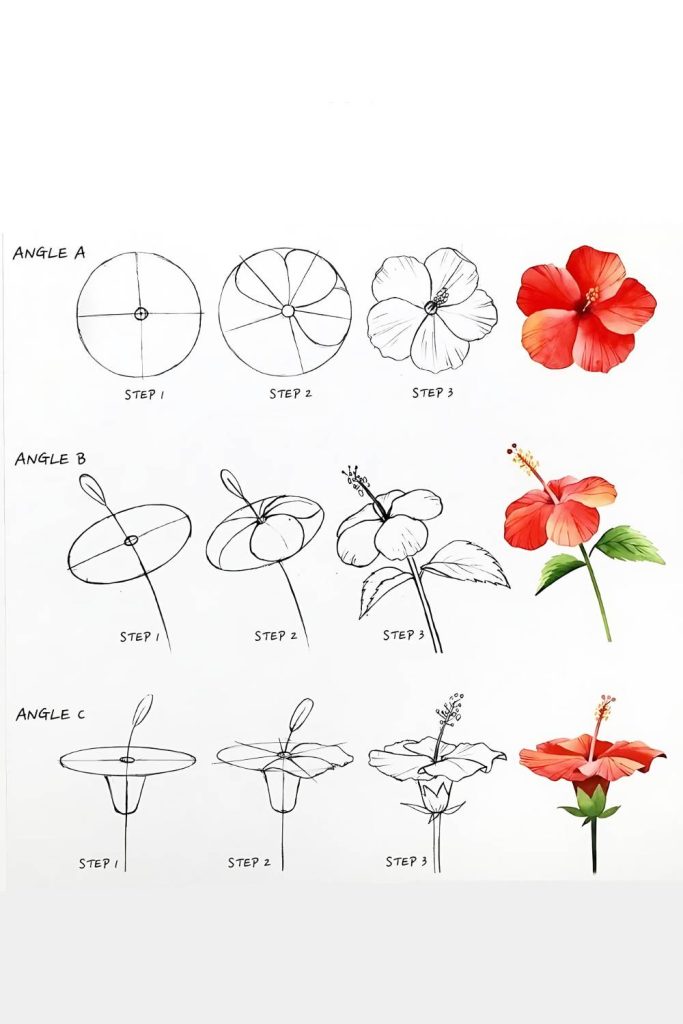 Flower Drawing Guide