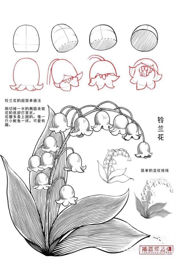 Flower Drawing Tutorials