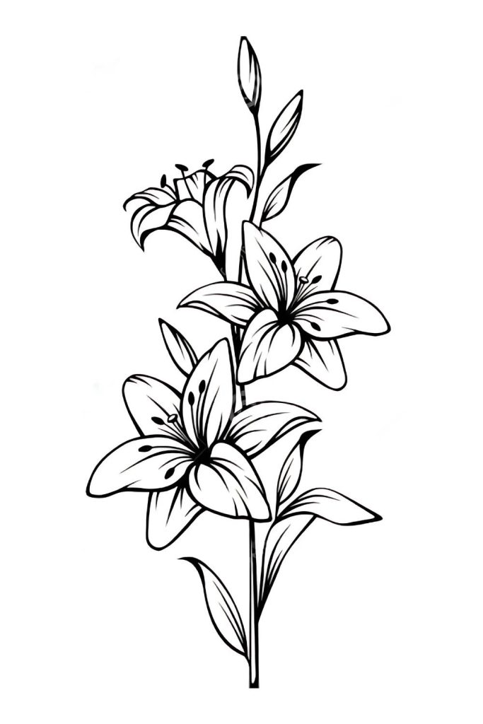 Nature Art Drawing