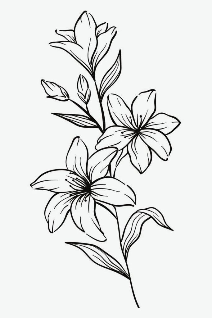 Pencil Drawings Of Flowers