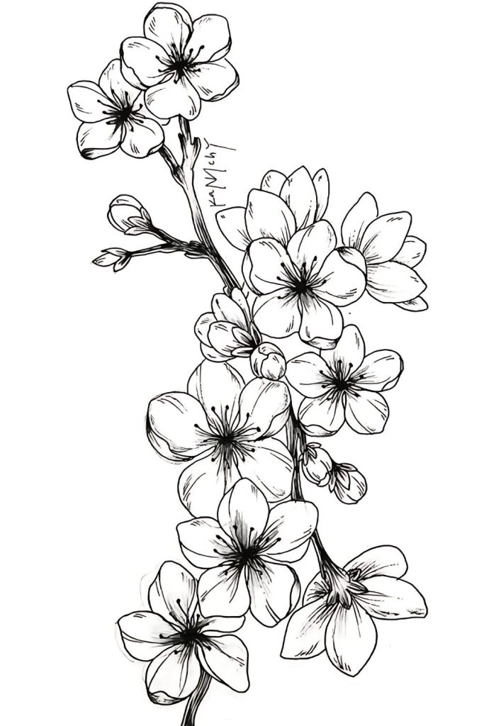 Simple Nature Drawing